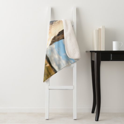 Couverture Sherpa Fermes | Vache Holstein Chewing (En situation)