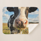Couverture Sherpa Fermes | Vache Holstein Chewing (Devant (Horizontal))