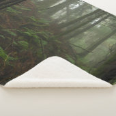 Couverture Sherpa FERNS dans la FORREST (3/4)