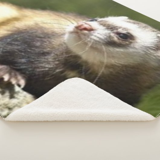 COUVERTURE SHERPA FERRET (3/4)