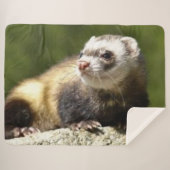 COUVERTURE SHERPA FERRET (Devant (Horizontal))