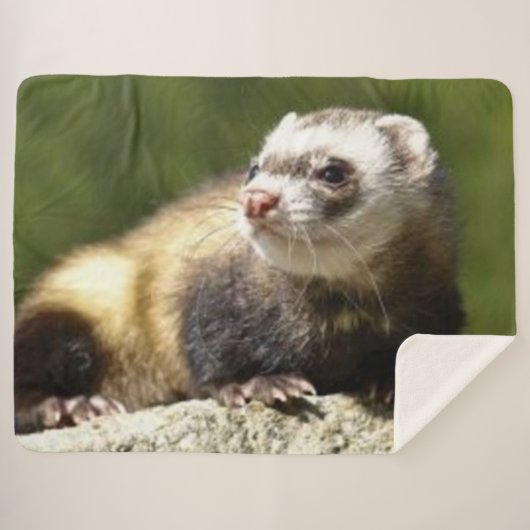 COUVERTURE SHERPA FERRET (Devant (Horizontal))