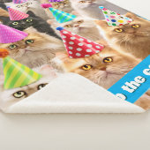 Couverture Sherpa Fête de chats (3/4)