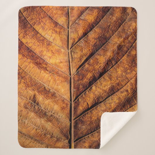 Couverture Sherpa Feuille sèche : arrière - plan de texture naturell (Devant)