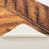 Couverture Sherpa Feuille sèche : arrière - plan de texture naturell (3/4)