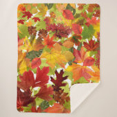 Couverture Sherpa Feuilles automnales d'automne (Devant)