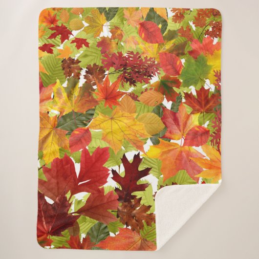 Couverture Sherpa Feuilles automnales d'automne (Devant)