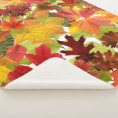 Couverture Sherpa Feuilles automnales d'automne (3/4)