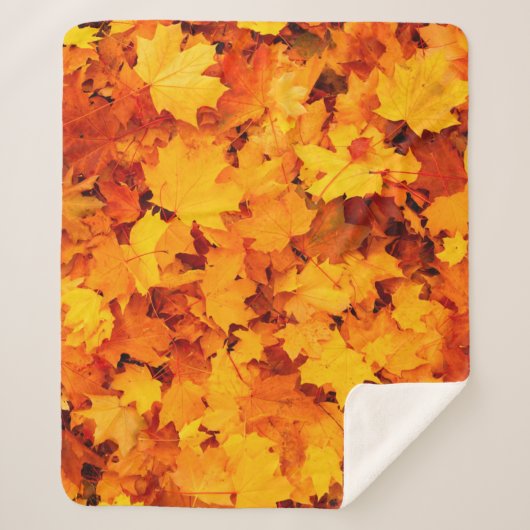 Couverture Sherpa Feuilles d'automne feuillage feuilles d'automne (Devant)