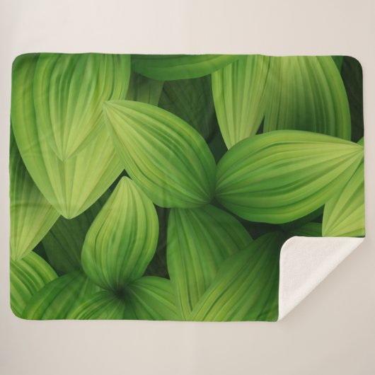 Couverture Sherpa Feuilles tropicaux 9 (Devant (Horizontal))