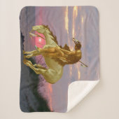 COUVERTURE SHERPA FIN DU SENTIER (Devant)