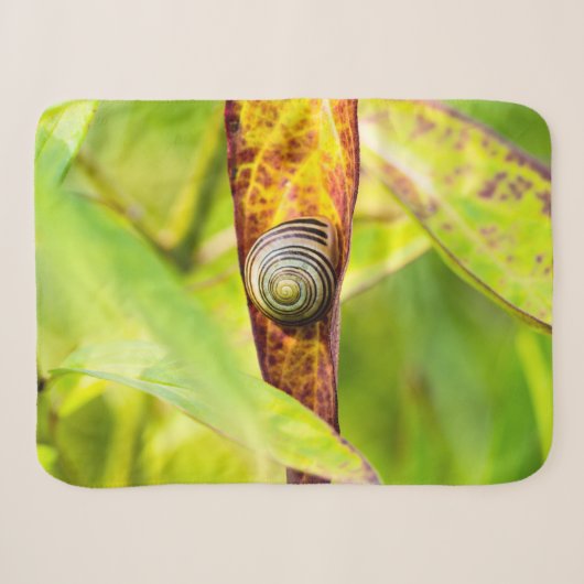 Couverture Sherpa fixation calme (Devant (Horizontal))
