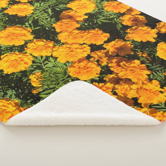 Couverture Sherpa Fleur de Marigold en fleurs (3/4)