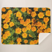 Couverture Sherpa Fleur de Marigold en fleurs (Devant (Horizontal))