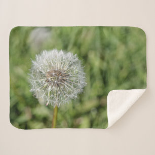 Couverture Sherpa Fleur de pissenlit blanc sur herbe verte