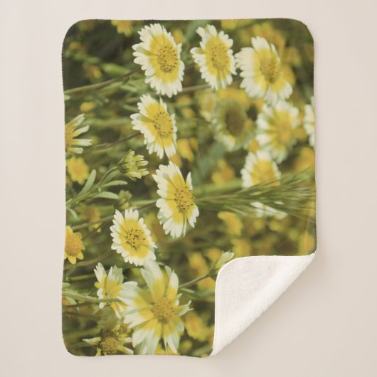 Couverture Sherpa Fleur sauvage jaune (Devant)