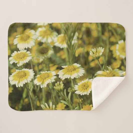 Couverture Sherpa Fleur sauvage jaune (Devant (Horizontal))