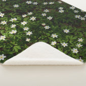 Couverture Sherpa Fleurs blanches de printemps en forêt (3/4)
