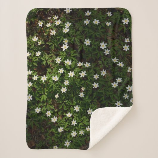 Couverture Sherpa Fleurs blanches de printemps en forêt (Devant)