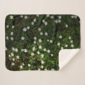 Couverture Sherpa Fleurs blanches de printemps en forêt (Devant (Horizontal))
