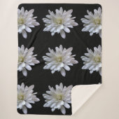 Couverture Sherpa Fleurs blanches motifs de marguerite (Devant)