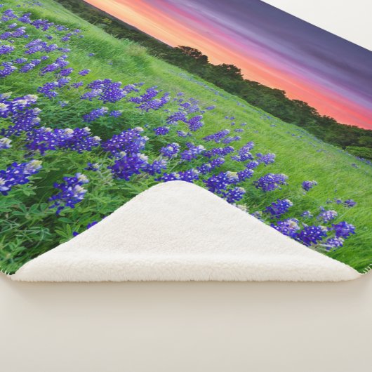 Couverture Sherpa Fleurs | Bluebonnets à Sunset Texas (3/4)