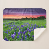 Couverture Sherpa Fleurs | Bluebonnets à Sunset Texas (Devant (Horizontal))