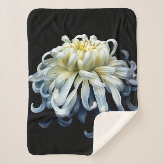 Couverture Sherpa Fleurs | Chrysanthème blanc (Devant)