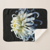 Couverture Sherpa Fleurs | Chrysanthème blanc (Devant (Horizontal))