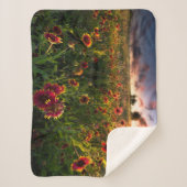 Couverture Sherpa Fleurs | Fleur sauvage indien Texas (Devant)