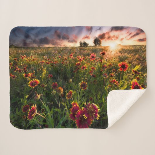 Couverture Sherpa Fleurs | Fleur sauvage indien Texas (Devant (Horizontal))