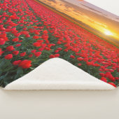 Couverture Sherpa Fleurs | Jardin botanique Hollande (3/4)