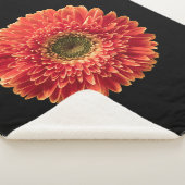 Couverture Sherpa Fleurs | Orange Gerbera Daisy (3/4)