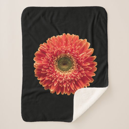 Couverture Sherpa Fleurs | Orange Gerbera Daisy (Devant)