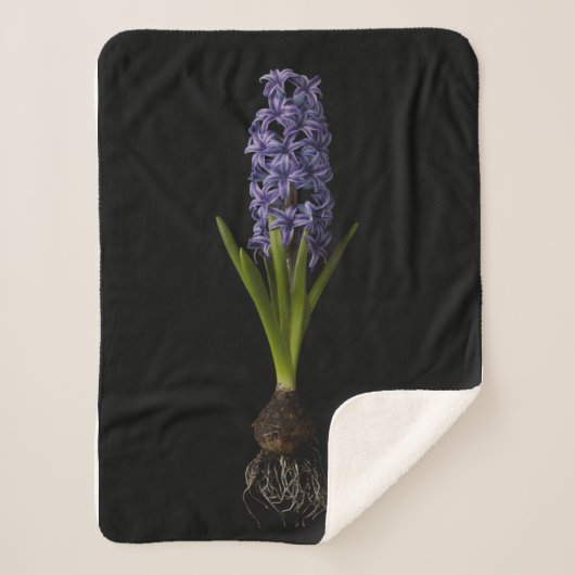 Couverture Sherpa Fleurs | Puce Hyacinth violette (Devant)