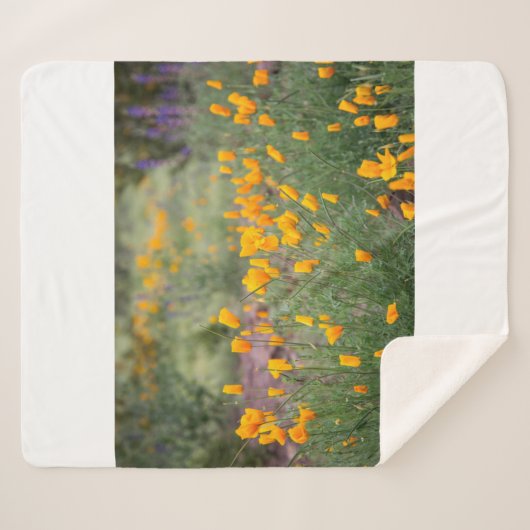 Couverture Sherpa fleurs sauvages beaux et parfumés poussant en tucs (Devant (Horizontal))