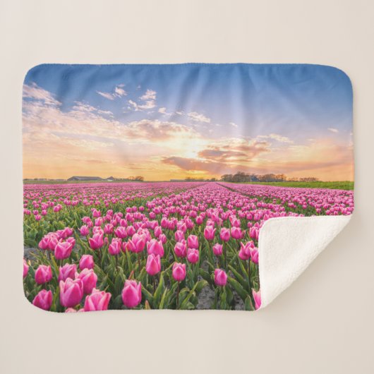 Couverture Sherpa Fleurs | Tulips Holland Sud, Pays-Bas (Devant (Horizontal))