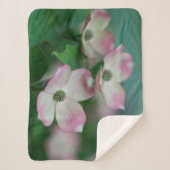 Couverture Sherpa Flowers (homonymie) | Blossoms de Dogwood (Devant)