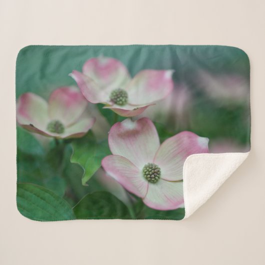 Couverture Sherpa Flowers (homonymie) | Blossoms de Dogwood (Devant (Horizontal))
