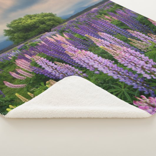 Couverture Sherpa Flowers (homonymie) | Lupine Field à New Zealand (3/4)