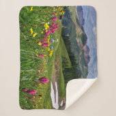 Couverture Sherpa Flowers (homonymie) | Wildflowers Durango (Devant)