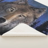 COUVERTURE SHERPA FLUX (3/4)