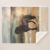 Couverture Sherpa Foggy Friesian Matin (Devant (Horizontal))