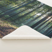 Couverture Sherpa Forest | Black Forest Germany (3/4)