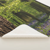 Couverture Sherpa Forest | Bluebells en Belgique (3/4)