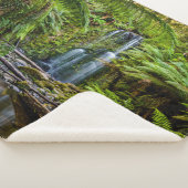 Couverture Sherpa Forests | Beauchamp Falls Australia (3/4)