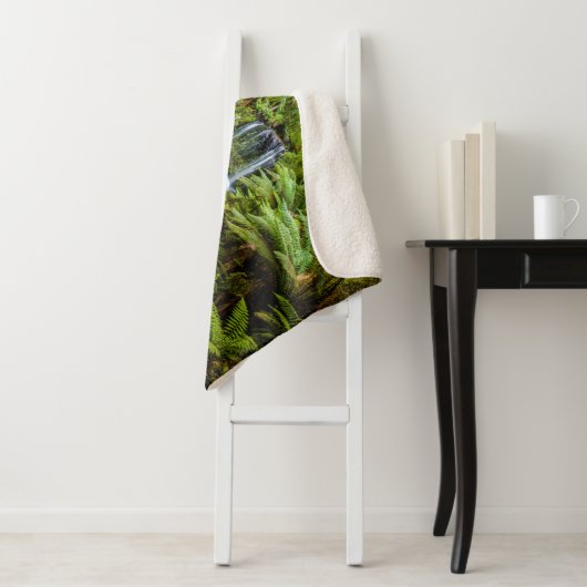 Couverture Sherpa Forests | Beauchamp Falls Australia (En situation)