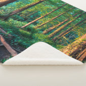 Couverture Sherpa Forests | Greenery & Woodland (3/4)