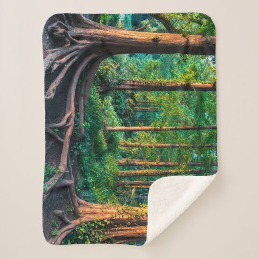 Couverture Sherpa Forests | Greenery & Woodland (Devant)