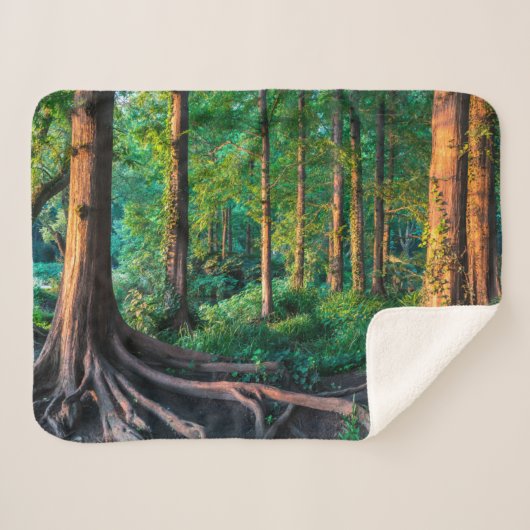 Couverture Sherpa Forests | Greenery & Woodland (Devant (Horizontal))